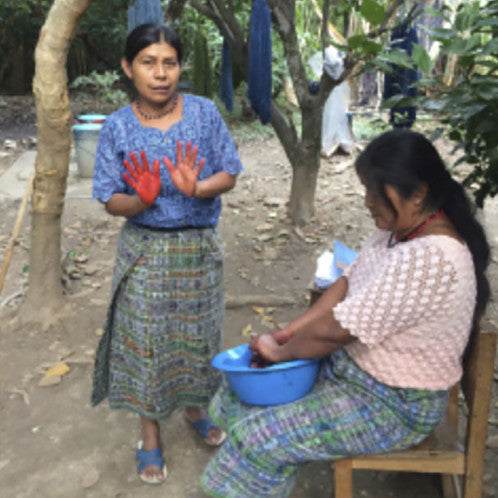 natural dye project guatemala