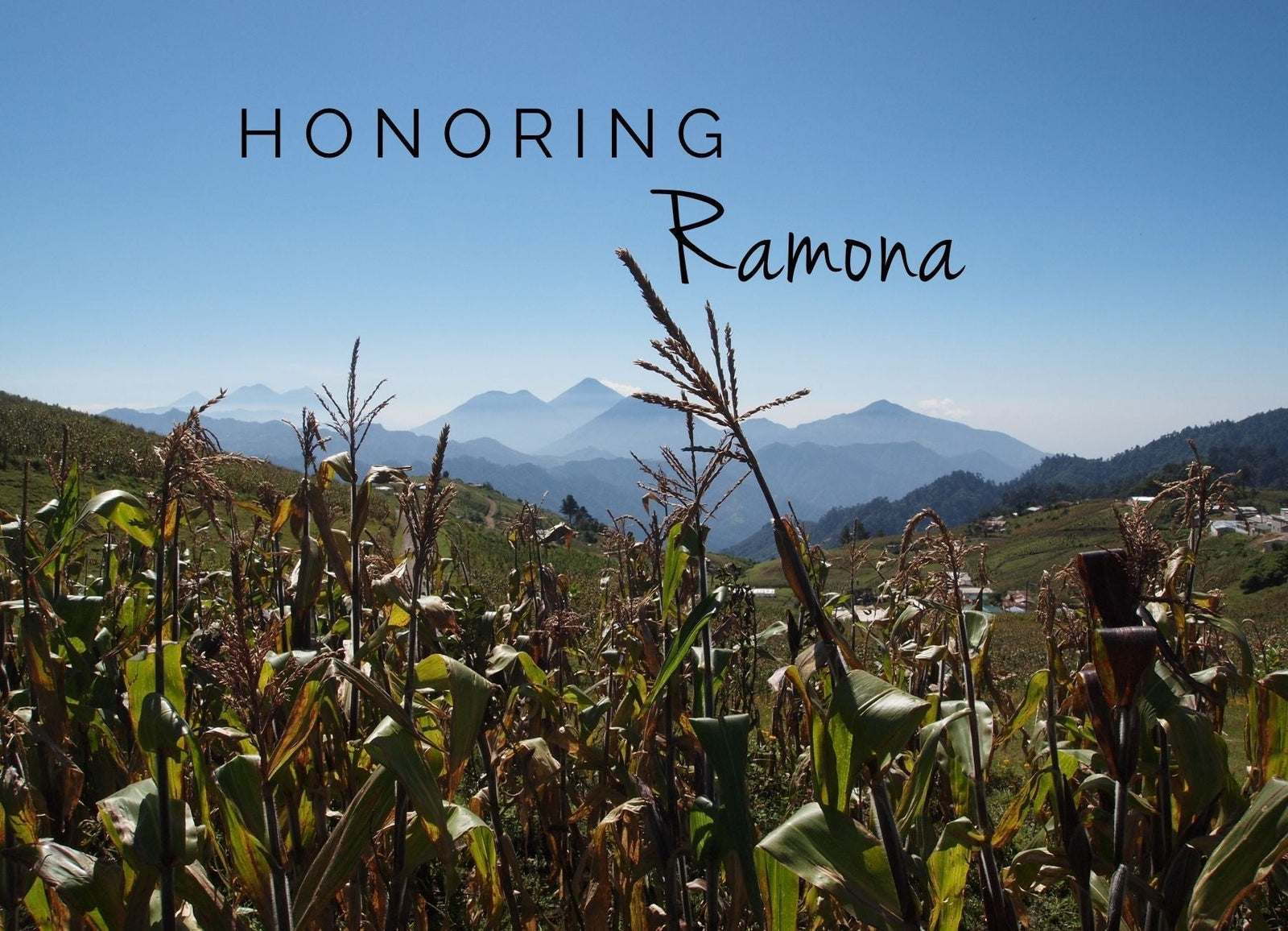 Landscape view of blue misty Guatemalan mountains under a blue sky, with a cornfield in the foreground and the text "Honoring Ramona"