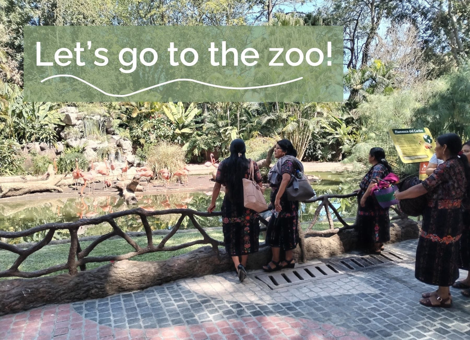 Let's go to the zoo!