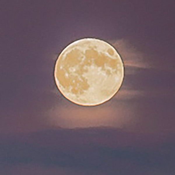 harvest moon guatemala