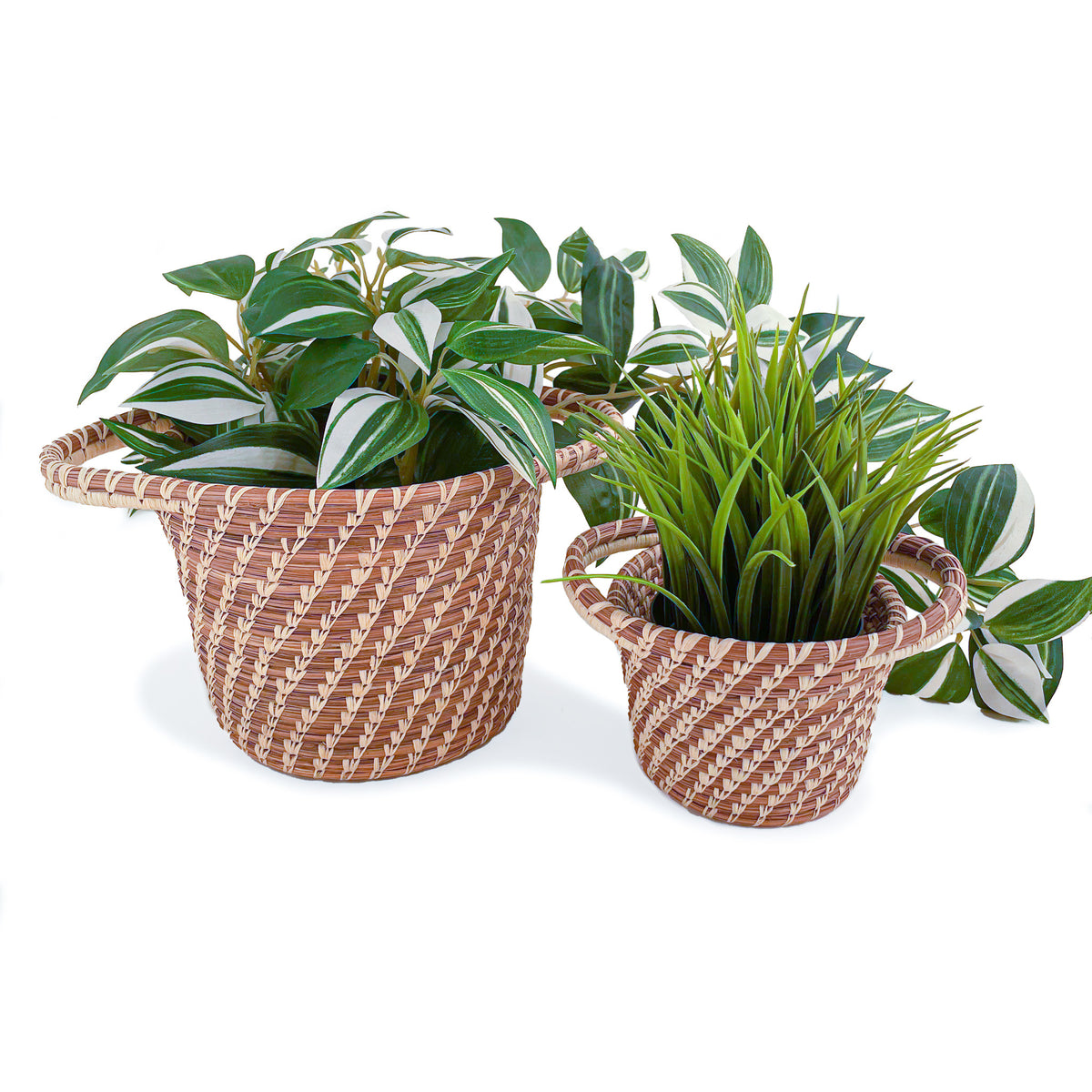 Potted plants in Large and Small Planter Baskets side by side on white background