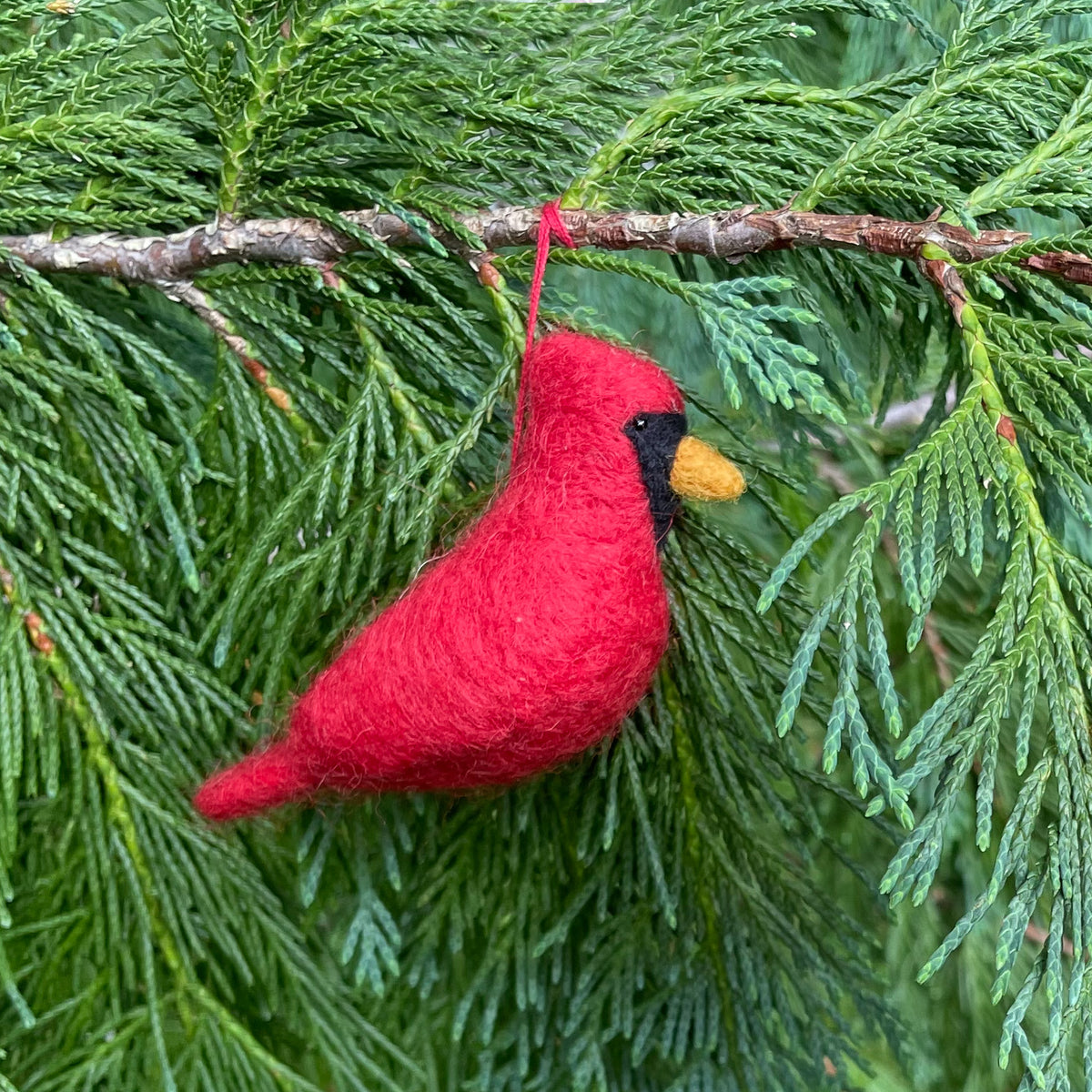 A red felt cardinal ornament hanging from a pine branch, with a black face and yellow beak, set against green evergreen needles.