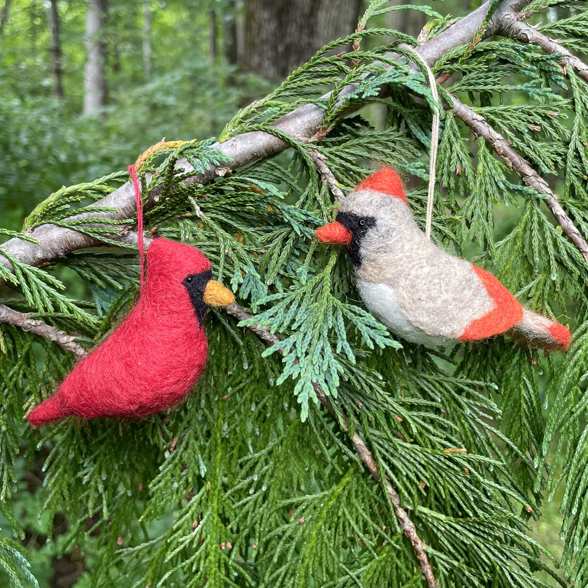 Two felted wool bird ornaments hang from a branch over evergreen needles.  The bird on the left is a male cardinal, all red with a black face and yellow beak.  The bird on the right is a female cardinal with grey beige body, red crest, wings, and tail, with a black face and orange beak.