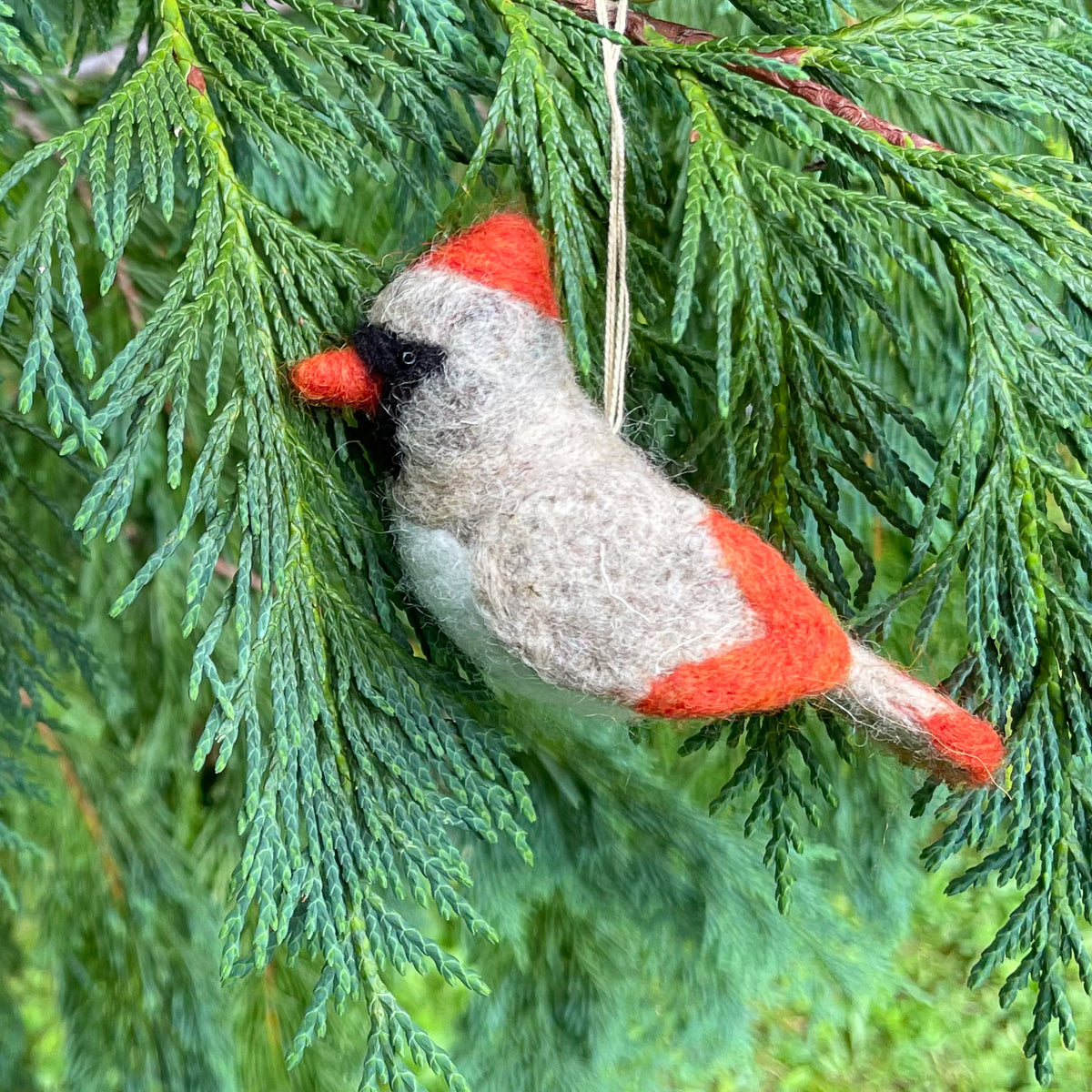 A felted wool female cardinal bird ornament hanging from a green evergreen branch.